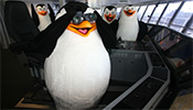 Cruisers' Choice Finalist - Oasis of the Seas Oasis of the Seas (Image)
