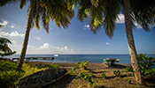 Cruisers' Choice Finalist - Celebrity Equinox Celebrity Equinox (Image)