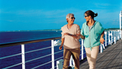 Cruisers' Choice Finalist - Veendam Veendam (Image)