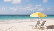 Cruisers' Choice Finalist - Seven Seas Navigator Seven Seas Navigator (Image)