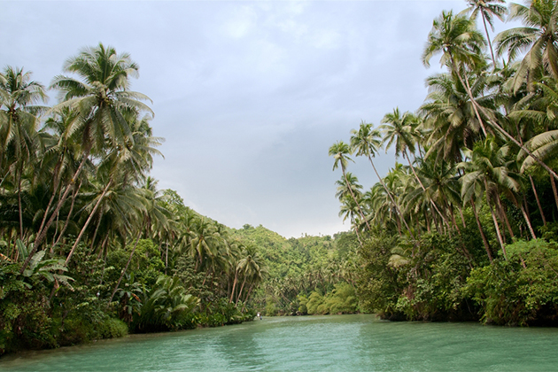 Amazon River cruise (Photo: Vitaly Titov & Maria Sidelnikova/Shutterstock) Amazon river Cruise