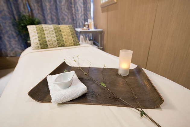 Greenhouse Spa treatment room on Eurodam (photo: Cruise Critic