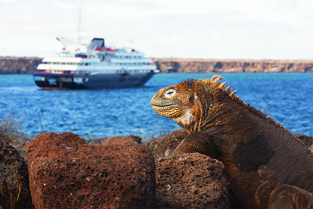 Luxury cruise ship in the Galapagos (Photo: Silversea Cruises) Iguana perched on a rock in the Galapagos with expedition luxury cruise vessel in the background