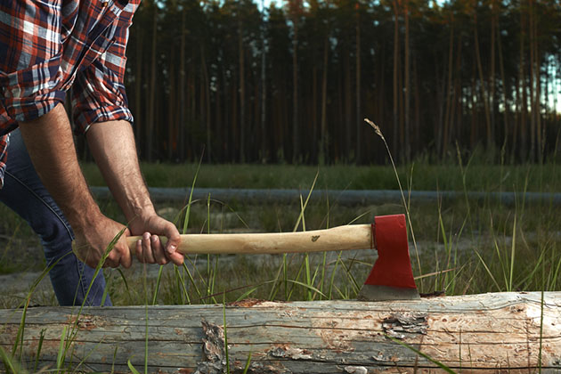 The Great Alaska Lumberjack Show (Photo: Svyatoslav Aleksandrov/ Shutterstock) Hands of Lumberjack with Axe cut a Tree