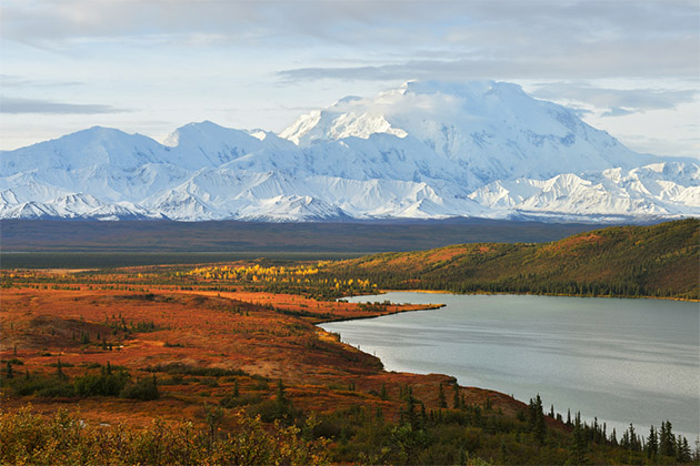 Denali National Park (Photo: Lijuan Guo/Shutterstock) Denali National Park landscape in the fall months