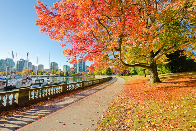 Stanley Park seawall in Vancouver (Photo: romakoma/Shutterstock.com) Orange autumn trees and sea walk at Stanley Park in Vancouver, Canada