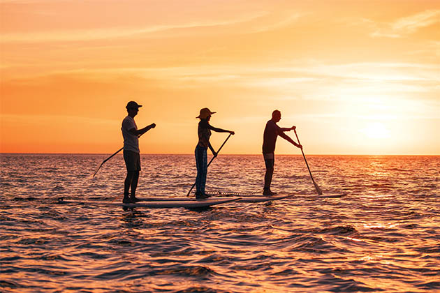 Stand-up paddleboarding excursion (Photo: Lindblad Expeditions) Group of people stand-up paddleboarding at sunset