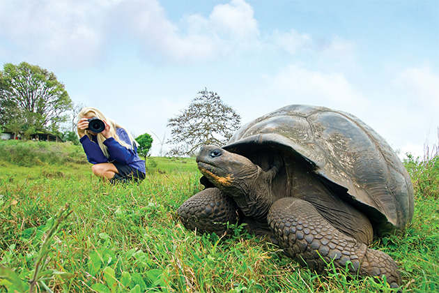 Wild Galapagos tortoise at Santa Cruz Island (Photo: Lindblad Expeditions) Lindblad Expeditions passenger photographing a wild Galapagos tortoise on Santa Cruz Island