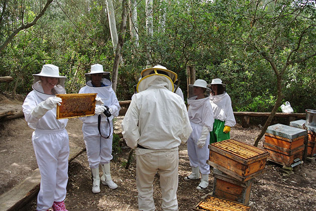 Tour group in beekeeper suits (Photo: John Garay) Tour group in beekeeper suits
