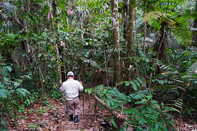 Jungle walk with Delfin Amazon Cruises (Photo: Jason Frye/Cruise Critic contributor) Nature guide on jungle walk