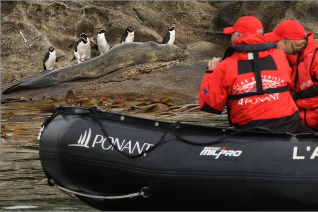 Zodiac wildlife tour (Photo: Ponant) Zodiac wildlife tour