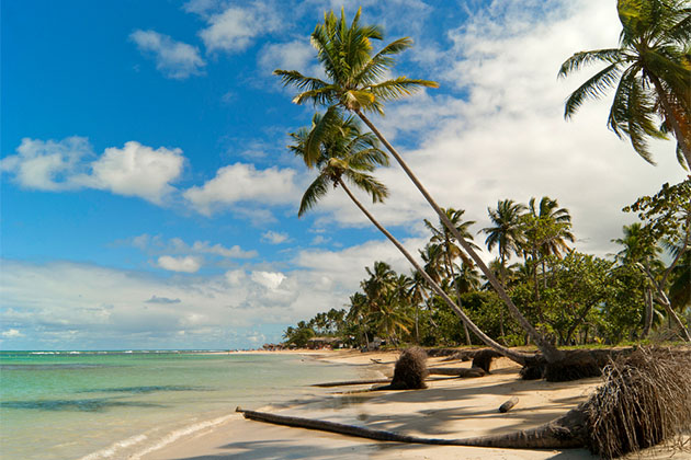 Samana, Dominican Republic (photo: Dikoz/Shutterstock) Samana, Dominican Republic