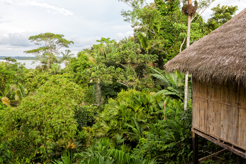 Amazon Photo courtesy of KalypsoWorldPhotography/Shutterstock Yasuni Jungle Lodge in the Amazon, Ecuador