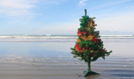 Christmas Tree on the Beach Christmas Tree on the Beach