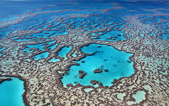 Great Barrier Reef (photo: JC Photo/Shutterstock) Great Barrier Reef