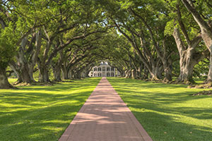 Oak Alley Plantation (photo: Jim Vallee/Shutterstock) Oak Alley Plantation