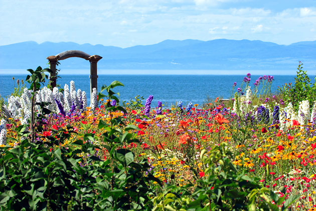 Flower garden on the shore of the St. Lawrence River (photo: Claud B./Shutterstock) Colorful flowers on the St. Lawrence River