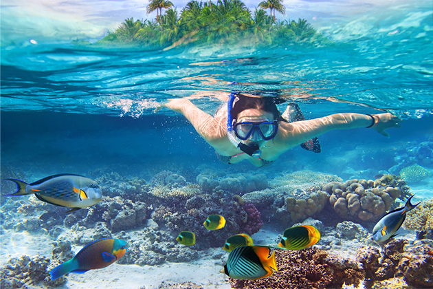 Snorkeling Excursion (photo: Patryk Kosmider/Shutterstock) Both destinations offer similar vibes, but differences experiences.
