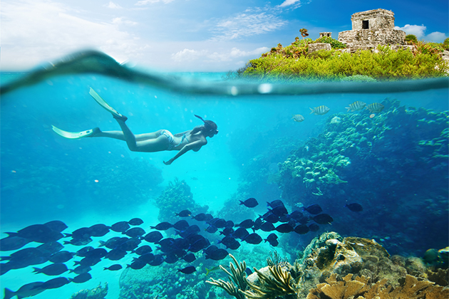 Snorkeling Excursion (photo: Signature Message/Shutterstock) Snorkeling Excursion