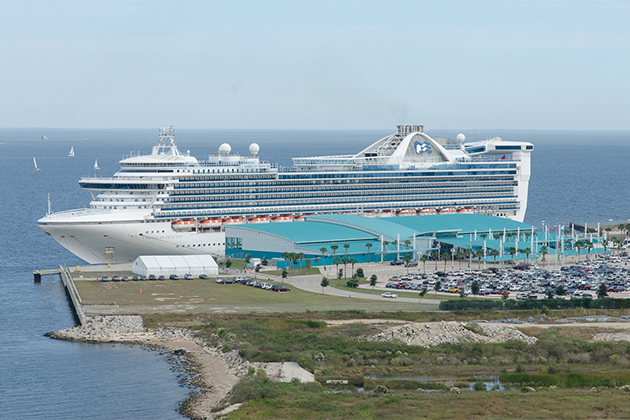 Princess Cruise Ship Docked in Houston (photo: Port of Houston) Port of Houston