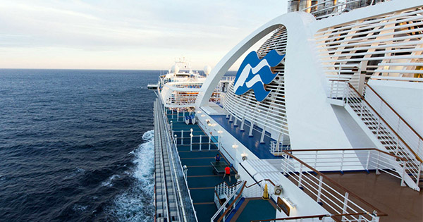 news signs cruise news signs cruise