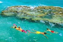 Bahamas & Bermuda