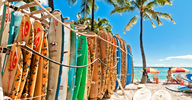 Honolulu Shore Excursions