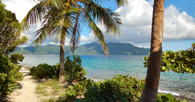 Jost Van Dyke Cruise Port