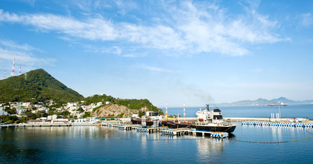 Manzanillo Cruise Port