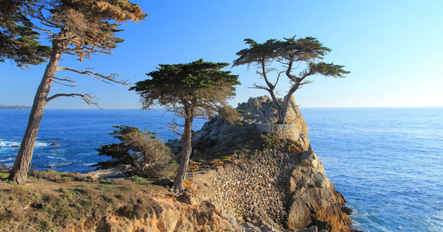 Monterey Cruise Port