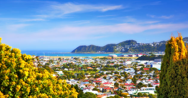 Wellington Cruise Port
