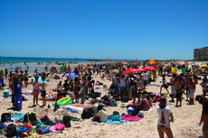 Adelaide Glenelg cruise excursion