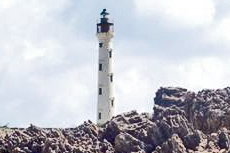 Aruba California Lighthouse cruise excursion