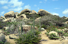 Aruba Ayo Rock Formations cruise excursion