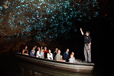 Auckland Waitomo Caves cruise excursion