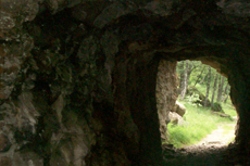 Barbados Cave Tour cruise excursion