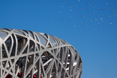 Beijing Bird's Nest