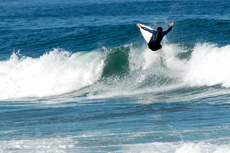 Brisbane Surfers' Paradise cruise excursion