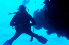 Cozumel Scuba - Certified cruise excursion