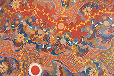 Darwin Museum & Art Gallery cruise excursion