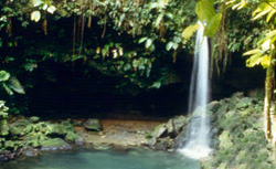 Dominica Emerald Pool cruise excursion