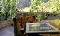 Dominica Trafalgar Falls cruise excursion