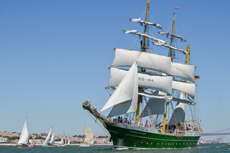 Freeport Masted Ship Tour cruise excursion