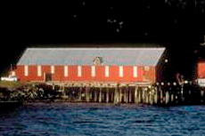 Haines Cannery cruise excursion
