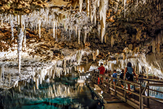 Hamilton Crystal Cave cruise excursion