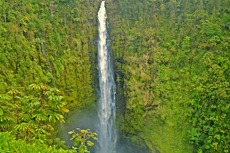 Hilo Akaka Falls