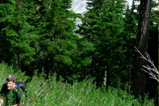 Juneau Hiking