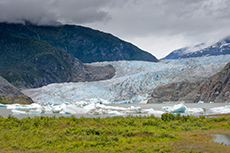 Juneau Whales, Bears and Glaciers