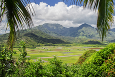 Kauai Hanalei Valley cruise excursion