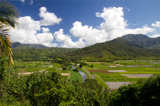 Kauai Kilohana Plantation cruise excursion